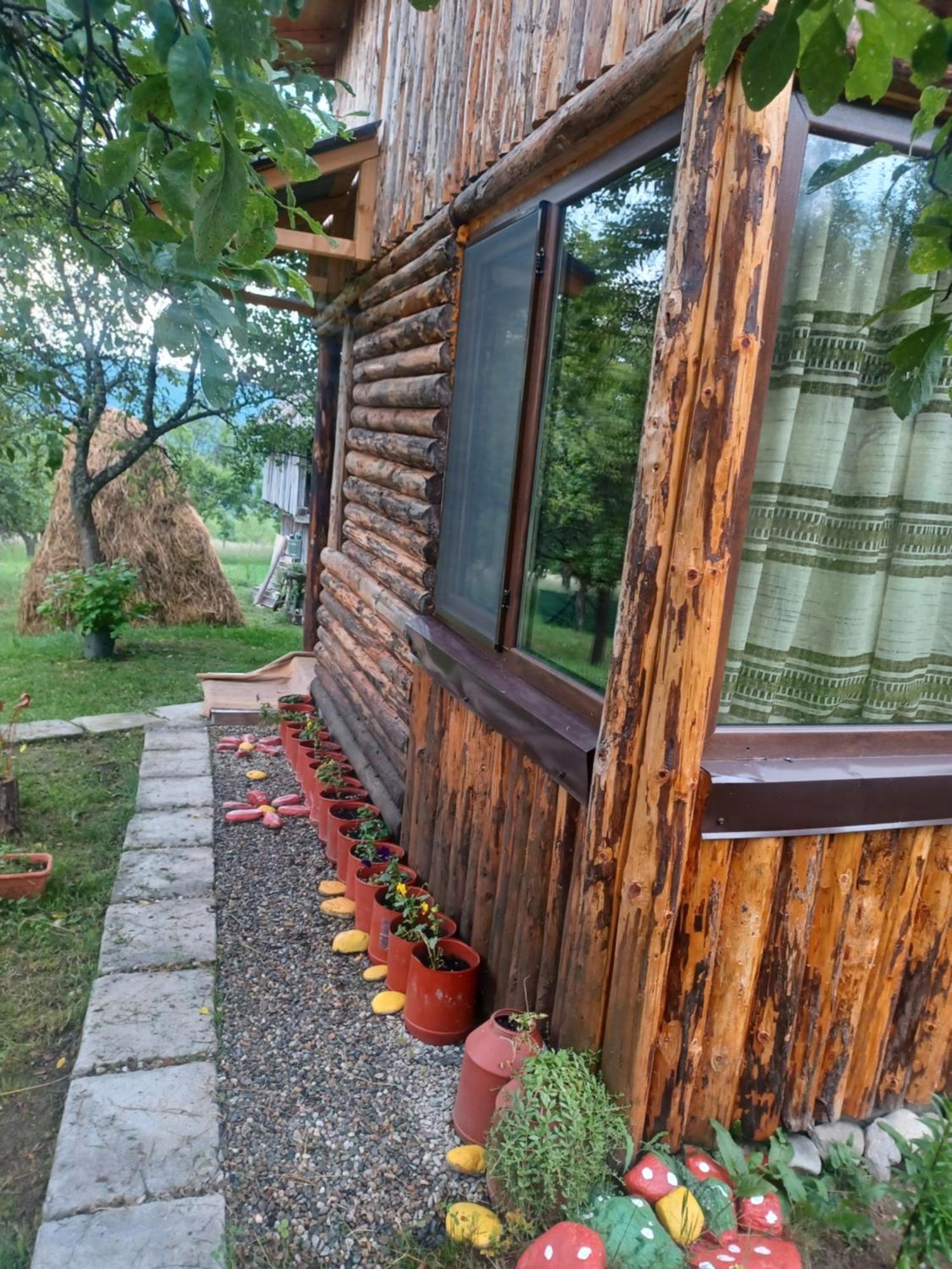 Casa Sara Nucsoara Hotel Bagian luar foto